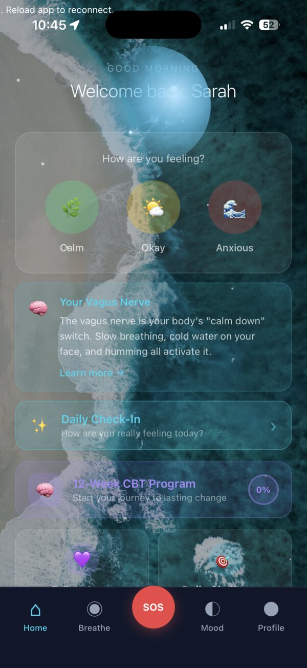 NeuralCalm Mental Health App